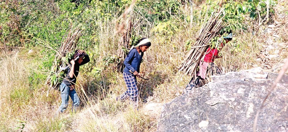 माध्यमिक तहका १३ प्रतिशत बालबालिका अझै विद्यालय बाहिर