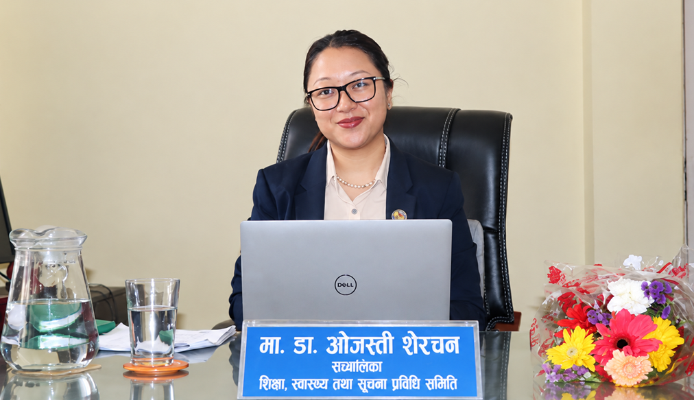 ईसीडी नीति २० वर्षसम्म टिक्ने गरी बनाउनुपर्छ : डा. शेरचन