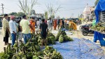 यस्ताे छ छठ पर्वको सामाजिक र प्राकृतिक महत्त्व