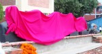 शहीदको अनुहार नमिलेपछि सातदोबाटोमा ४५ सालिकको अनावरण स्थगित