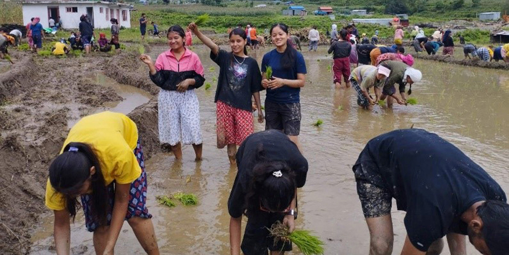 विद्यार्थी घरमाबाहेक विद्यालयमा पनि कृषि कार्यमा