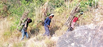 माध्यमिक तहका १३ प्रतिशत बालबालिका अझै विद्यालय बाहिर