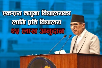 एकसय नमुना विद्यालयका लागि प्रति विद्यालय २५ लाख अनुदान