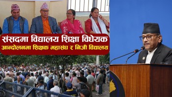 संसदमा विद्यालय शिक्षा विधेयक, आन्दोलनमा शिक्षक महासंघ र निजी विद्यालय (भिडियाे रिपाेट)