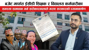 बजेट मार्फत ईसीडी शिक्षक र विद्यालय कर्मचारीका समस्या समाधान गर्न माग (भिडियोसहित)