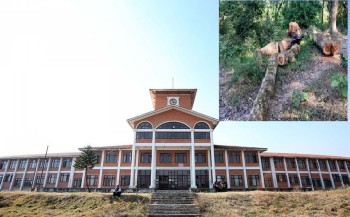 त्रिविले फाँड्यो तीन सय रोपनीमा फैलिएकाे झाडी, सुन्दर पार्क बनाउने तयारी