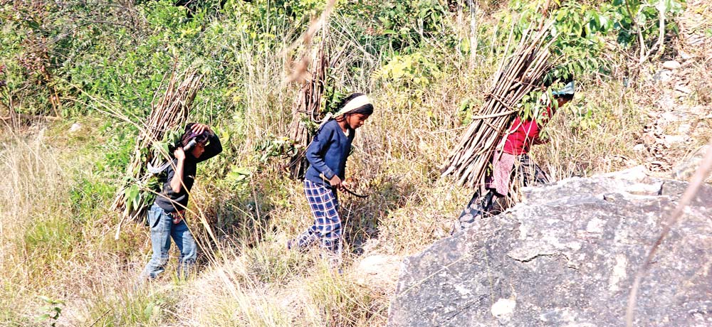 पूर्ण साक्षर जिल्लामै विद्यालय जाँदैनन् बालबालिका 