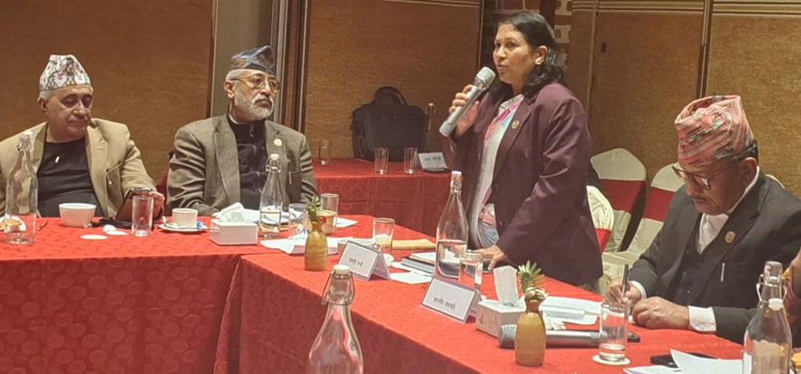 'निजी विद्यालयका सञ्चालकहरूले राजनीति गर्दा किन काेही बाेल्दैनन्?'
