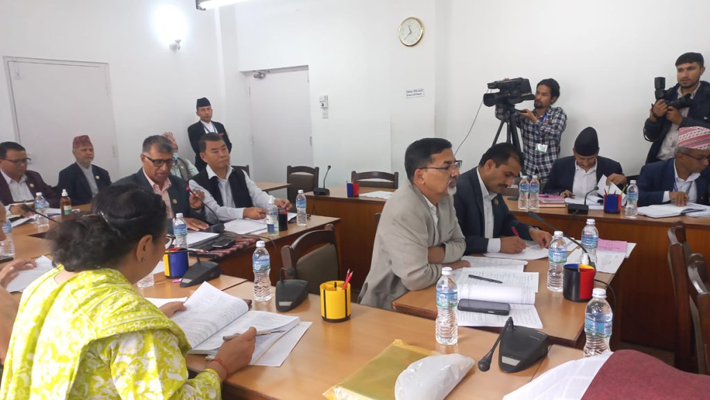 निजी विद्यालयलाई शैक्षिक गुठीमा लाने कि नलाने भन्ने विषयमा संसदकाे शिक्षा समितिमा छलफल