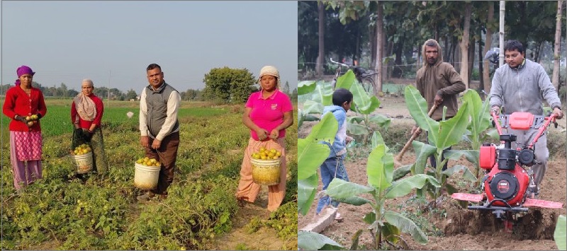 शिक्षण पेसासँगै कृषिमा रमाउँदै सर्वेन्द्र